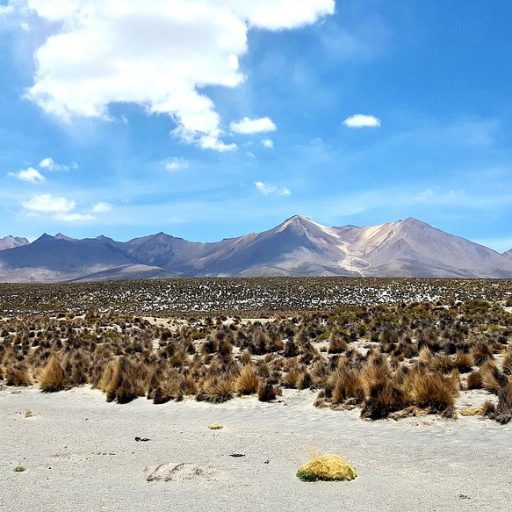 salinas-y-aguada-blanca