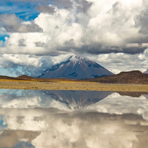 salinas_2